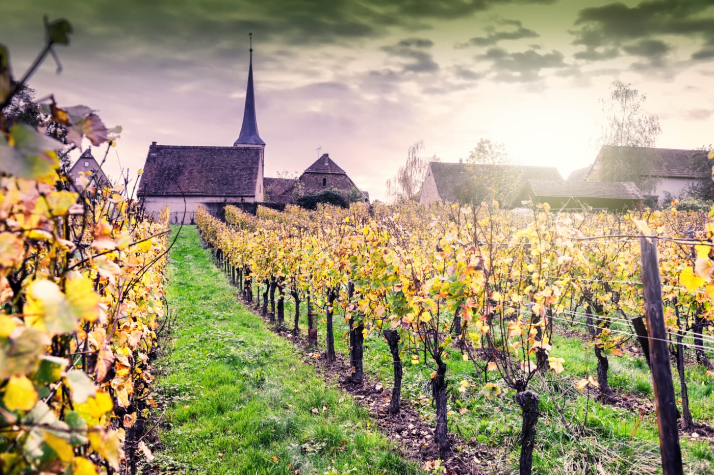 Dorf im Elsass