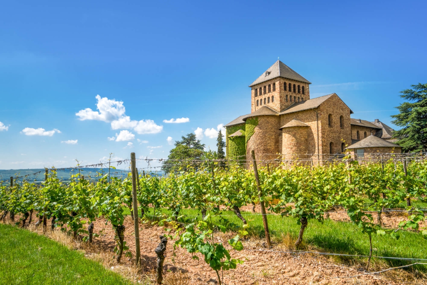 Rheingau Johannisberg