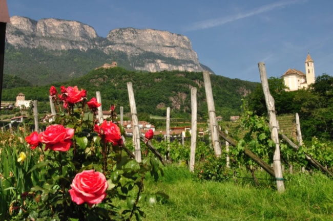 Weinregionen Italien