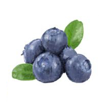 Blaubeeren
