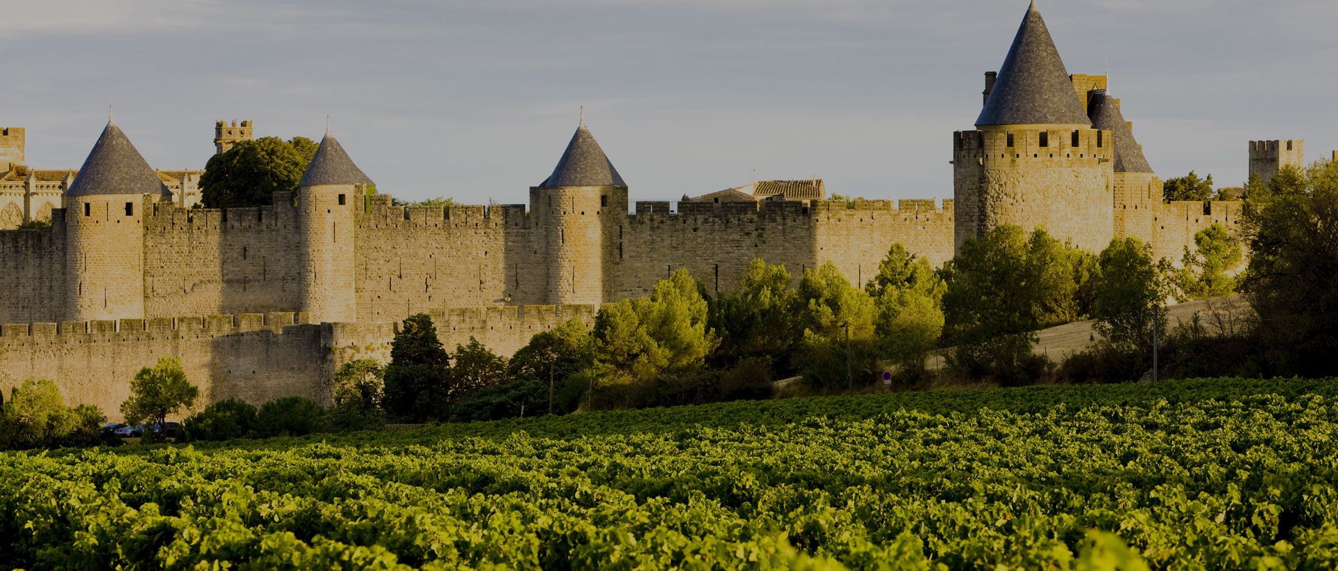 Weinberg Carcassone Burg