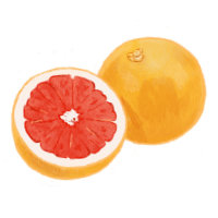 Grapefruit