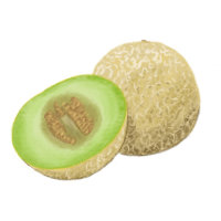 Honigmelone