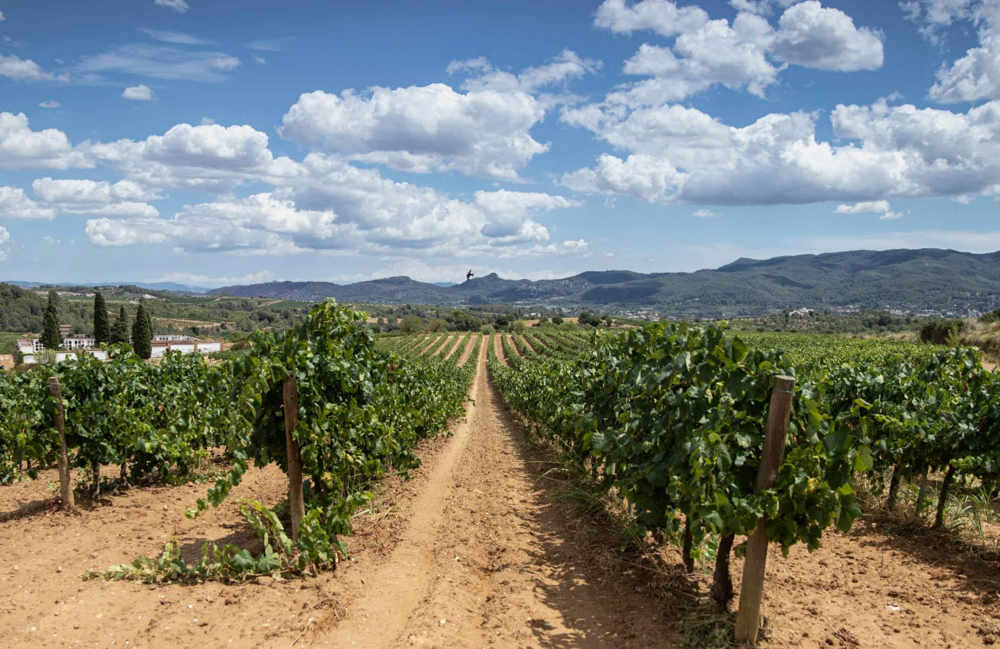 Sant Llorenç d'Hortons, Penedes