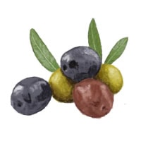 Oliven Aroma im Wein