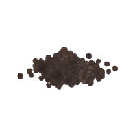 Schwarzer Pfeffer