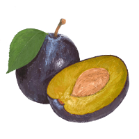 Pflaume