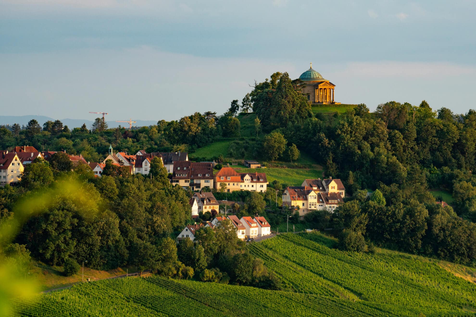 Weinberg bei Stuttgart