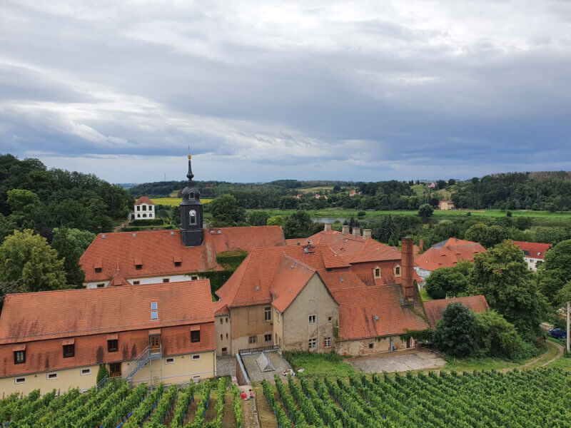 Weinberg bei Seußlitz